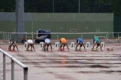 B0980F90-5BA7-4396-99A7-AF609EDC98C2_4_5005_c